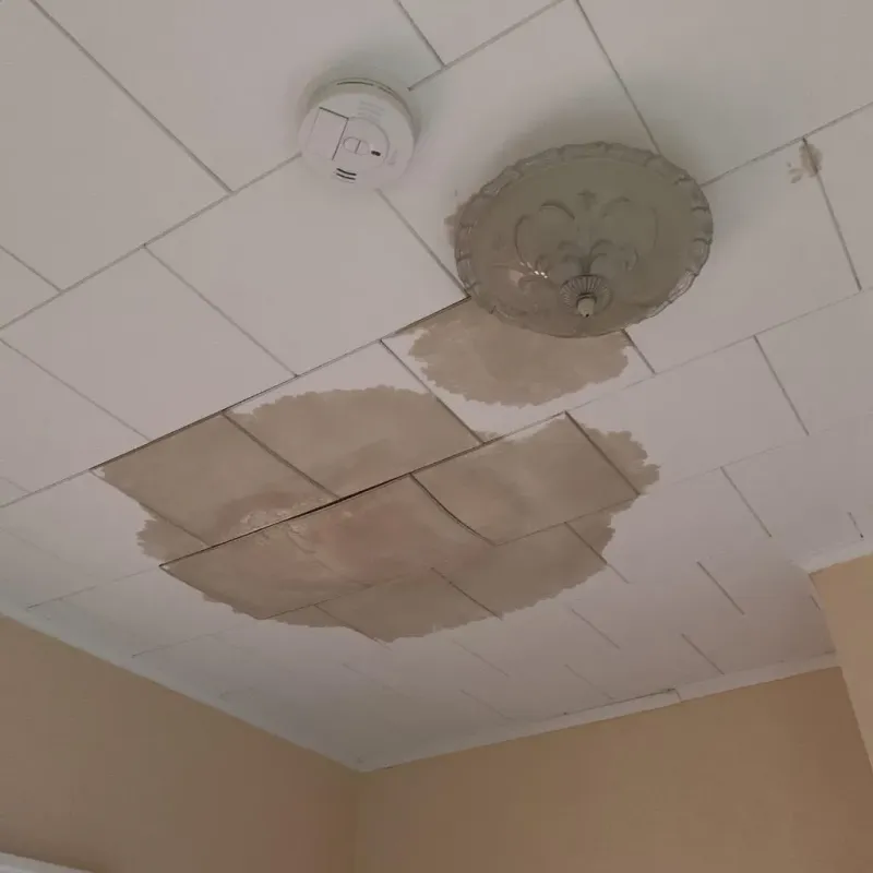 Ceiling Water Damage Repair in Watervliet, MI