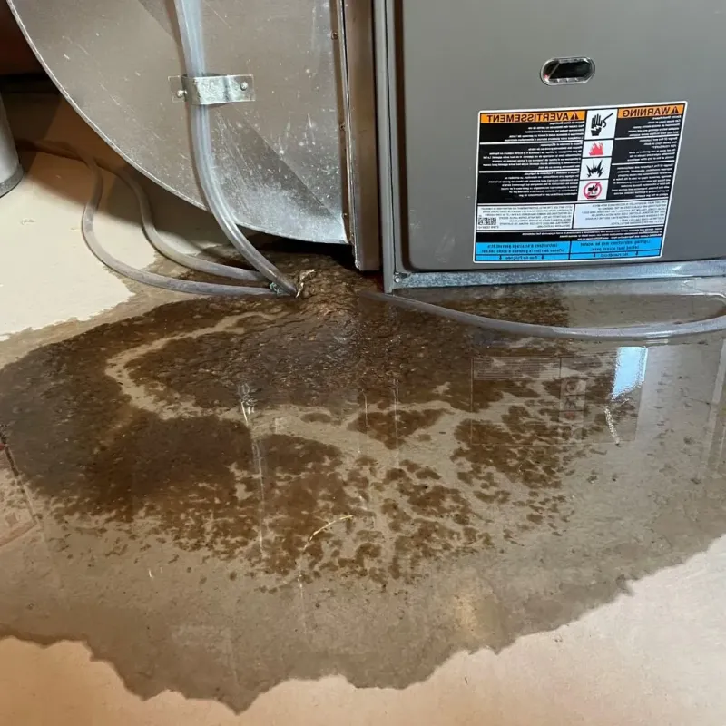 Pipe Burst and Leak Restoration in Watervliet, MI