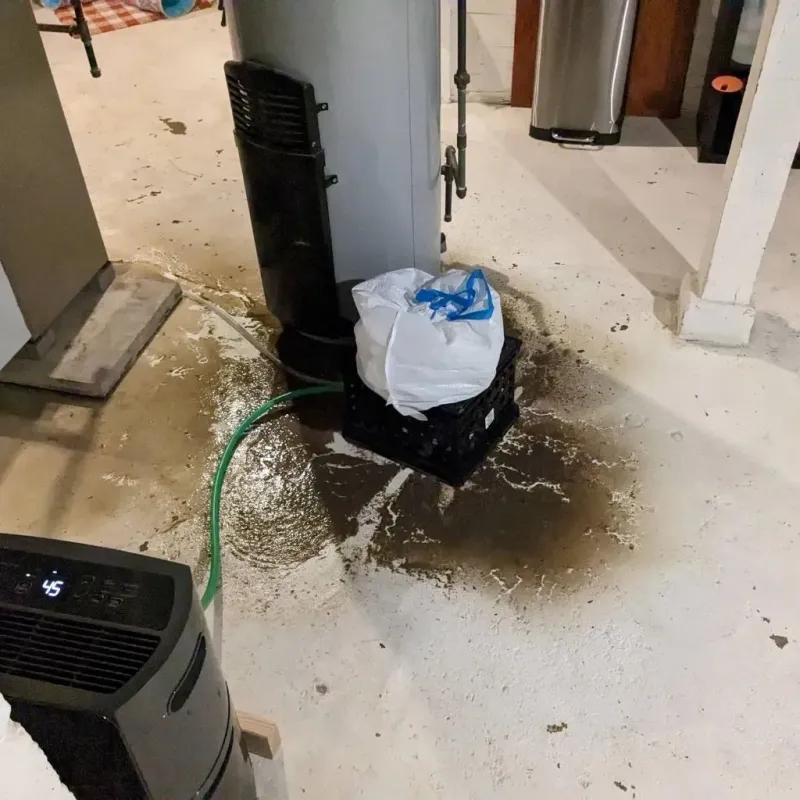 Sewage Backup Cleanup Service in Watervliet, MI